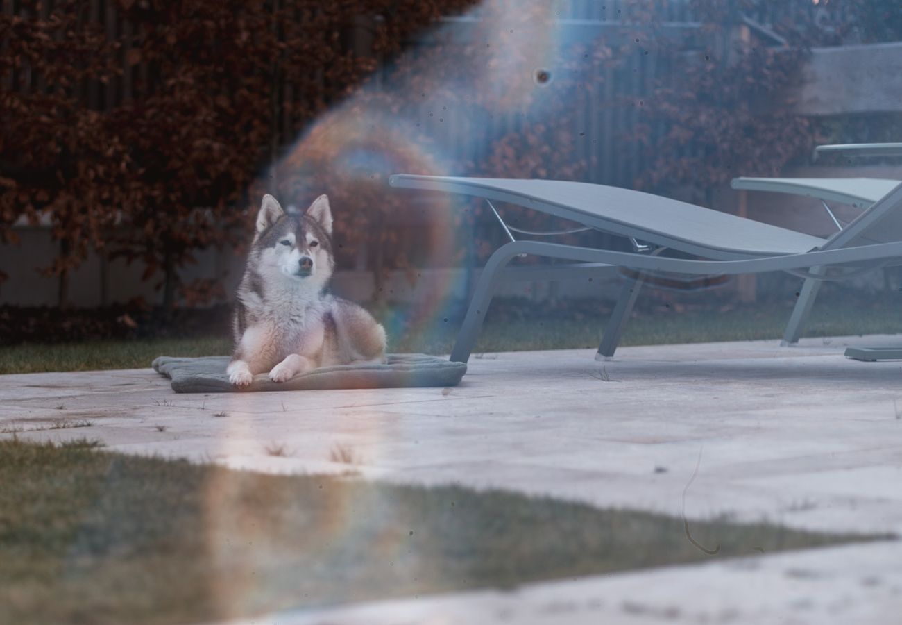 Apartment in Rottach-Egern - Egerner Chalet