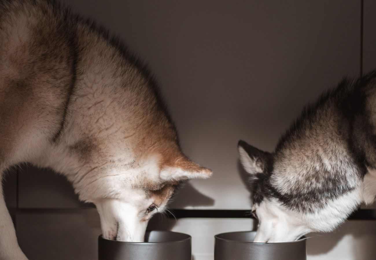 Apartment in Rottach-Egern - Egerner Chalet