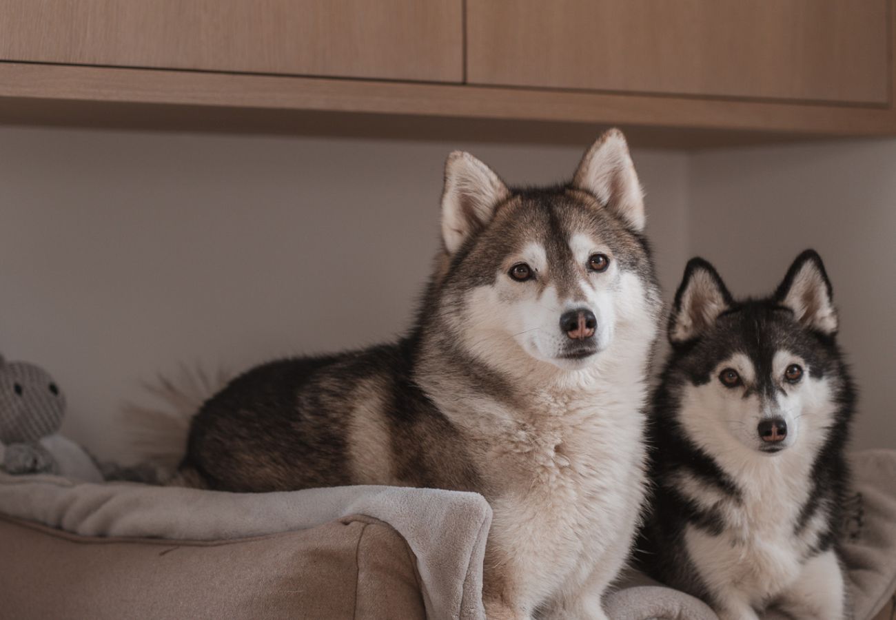 Apartment in Rottach-Egern - Egerner Chalet