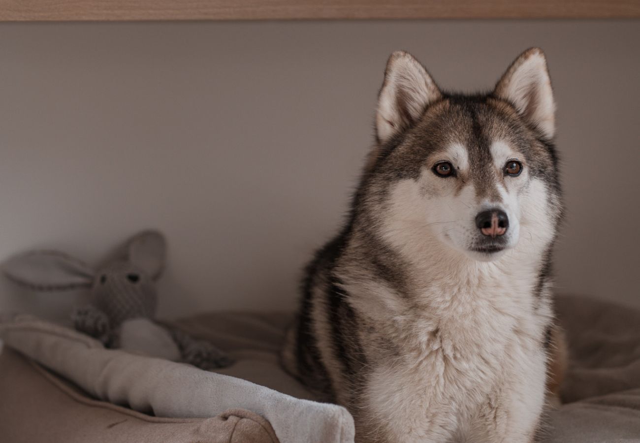 Ferienwohnung in Rottach-Egern - Egerner Chalet