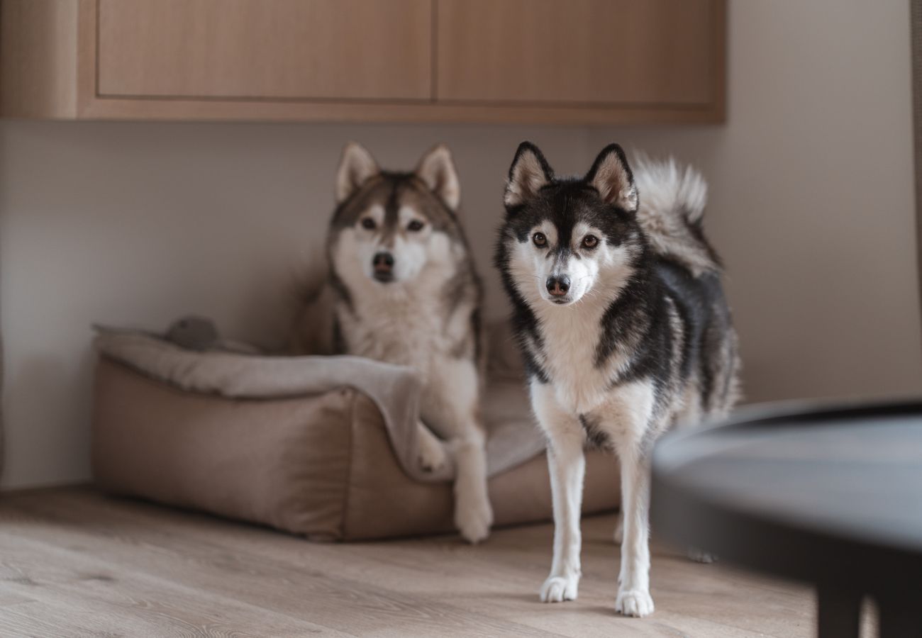 Ferienwohnung in Rottach-Egern - Egerner Chalet